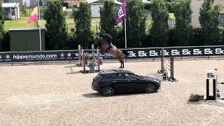 Salsa de Septon 2018 Mare No Comment de Septon x Berlin 6yo class CSIYH Opglabbeek [upl. by Corwin754]