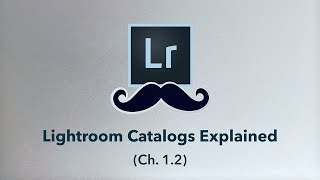 Lightroom CATALOGS Explained  Easy Tutorial [upl. by Araht]