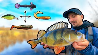 COLD WATER Guide  Effective Methods for Perch  Team Galant [upl. by Arihsan]