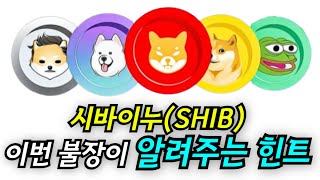 시바이누SHIB가 이렇게 다 알려주는데 뭐하세요 [upl. by Shena]