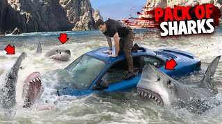 This Family Gets Eaten By a PACK OF SHARKS After Crashing Car Into Water [upl. by Ailegave]