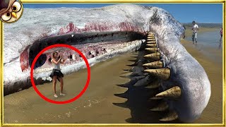 50 Terrifying Things Washed Up on Beaches [upl. by Sillert]