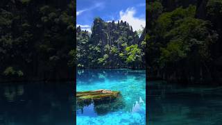 Most Beautiful Places in Philippines🇵🇭 travel nature adventure [upl. by Aniles]