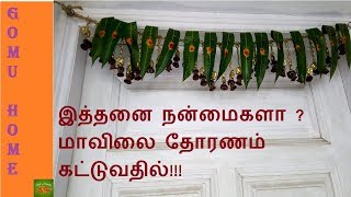 Mavilai Thoranam  மாவிலை தோரணத்தின் அற்புதம்  How to make Maavilai thoranam  Gomu home [upl. by Noseaj395]