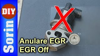 EGR Off  Anulare EGR  Seat Leon Tuning  Part 1 [upl. by Gardell]