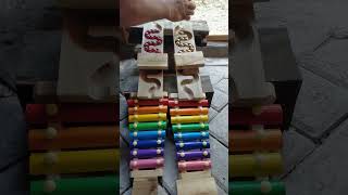 marble run vs xylophone asmr6shorts [upl. by Akimihs582]