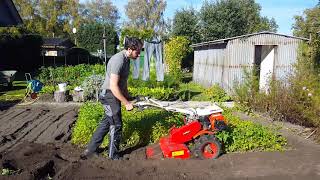 ⚙️ Einachser mit Gartenfräse im Einsatz  Rasen neu anlegen [upl. by Skutchan]