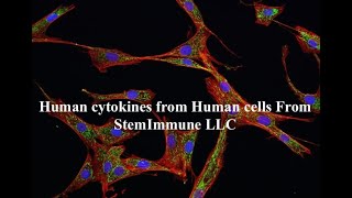 Mesenchymal Stem Cells Revolutionize Revolutionize Pain Management [upl. by Elockcin]