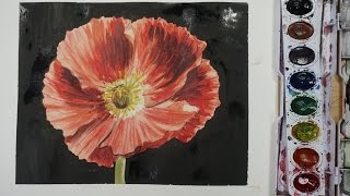 How to draw and paint a Poppy with watercolor  BEGINNER TUTORIAL [upl. by Sardella708]