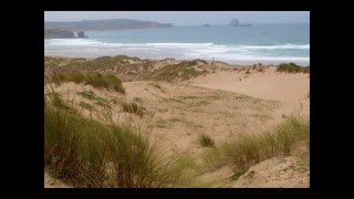 Las Dunas de Liencres  Félix Rodríguez de la Fuente [upl. by Hoseia296]