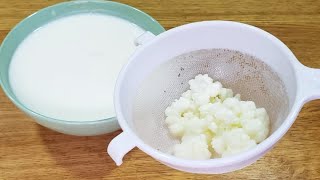 Cómo Hacer KÉFIR CORRECTAMENTE para el Máximo de Beneficios Búlgaros de Leche  Receta y Consejos [upl. by Nauqaj]