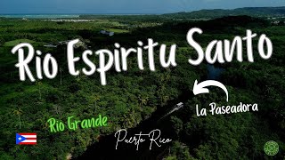 TREMENDA AVENTURA 🪿🦆🐟🐢🌴🌿🥐🥪🥟📷LA PASEADORA RIO ESPÍRITU SANTO Rio Grande Puerto Rico🇵🇷 [upl. by Savick556]