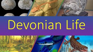 Life Of The Devonian Period [upl. by Jarlath908]