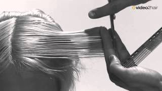 Haircut Crunchy Trailer  Video2Hair [upl. by Attenoj]