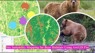 Site Suitability Mapping for Bear Habitats Using ArcGIS Pro [upl. by Yraeht]