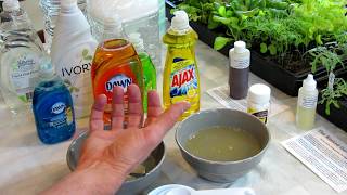 How to Make Soapy Water Garden Insect Sprays The Recipe Use amp Soap Selection  DIY Ep3 [upl. by Atalante16]