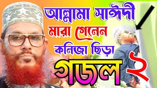 আল্লামা সাঈদী হুজুরের মৃত্যু নাকি হত্যা নাস্তিক হাসিনার কঠিন জবাব  delyar saidi [upl. by Somisareg677]