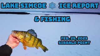 Lake Simcoe Ice Report amp Fishing PB Perch [upl. by Etheline855]