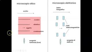 Il microscopio Parte 1 [upl. by Plafker590]