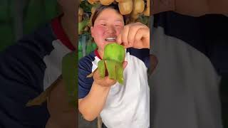 Amazing Fruit Farm  Beautiful Fresh Kiwi 🥝🥝 Harvesting With Rural Farmer shortsfeed shorts [upl. by Laroy]