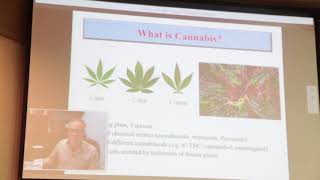 Medical Cannabis and Chronic Disease Windsor ON  Jan 31 2018 [upl. by Marie-Ann601]