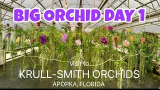 A VISIT TO ONE OF THE BEST ORCHID NURSERIES KRULLSMITH ORCHIDS [upl. by Oralla]