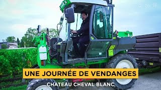 Je vendange un vin mythique  Château Cheval Blanc [upl. by Annoled906]