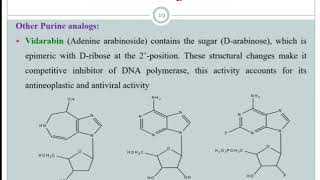 Antimetabolites Anticancer Agent Medicinal chemistry Session 6 [upl. by Kelcey]