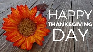 Best Wishes For Thanksgiving Day  Beautiful Happy Thanksgiving Quotes [upl. by Hajed]