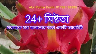 পর্ব০০ Dahong Pao3 তাইওয়ানের অধিক মিষ্টি সম্পন্ন কমার্শিয়াল ভ্যারাইটি সর্বোচ্চ ব্রিকস 24 [upl. by Sucramal]