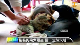 【20130502】抱貓狗染犬蛔蟲 國一生險失明 udn tv [upl. by Ddal37]