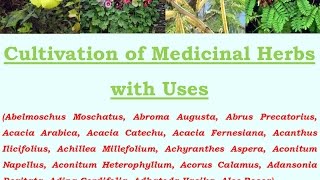 Cultivation of Medicinal Herbs with Uses [upl. by Alidus]