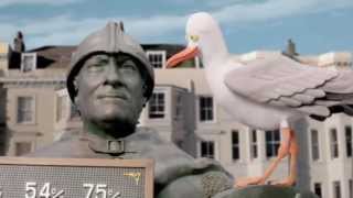 Great value TV advert  Hastings Direct [upl. by Nehte]