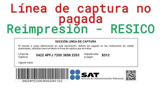 Como Reimprimir Línea Captura Vencida RESICO 2024  Régimen Simplificado de Confianza [upl. by Ollecram]