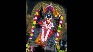 Mecheri Bhadrakaliyamman Today Alangram mecheri amma amman ammanstatusvideo bhadrak bhadrakali [upl. by Boyes]