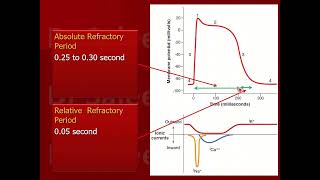 Refractory period cardiac vs skeletal muscle [upl. by Christabella]