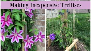 Making Inexpensive Trellises [upl. by Nelrac]