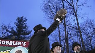 Punxsutawney Phil predicts an early spring [upl. by Vinita802]