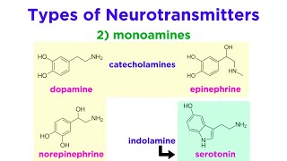 Neurotransmitters Type Structure and Function [upl. by Tucky808]