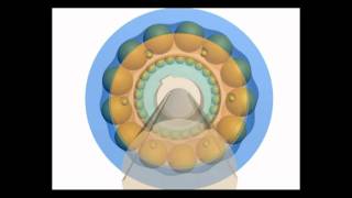 Cycloidal Gear [upl. by Held]