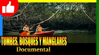 🔴 𝗗𝗢𝗖𝗨𝗠𝗘𝗡𝗧𝗔𝗟 ⭐ Tumbes Bosques y Manglares de Alejandro Guerrero [upl. by Sibbie]