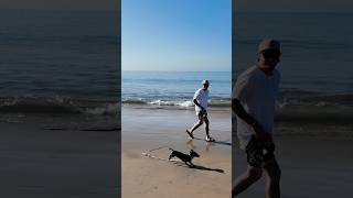 Puppies first beach day puppy puppylife puppiesofinstagram puppies [upl. by Faucher]