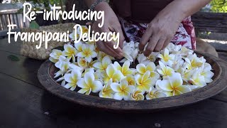 Reintroducing Frangipani Delicacy [upl. by Yesrod]