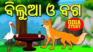 ବିଲୁଆ ଓ ବଗ  The Fox and The Stork in Odia  Odia Story  Fairy Tales in Odia  Koo Koo TV [upl. by Nnayelsel]