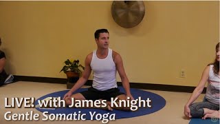 Gentle Somatic Yoga LIVE with James Knight ERYT c1 [upl. by Prestige961]