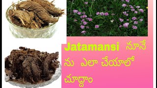 Jatamansi తో నూనే ను ఎలా చేయాలో చుద్దాం  How to make jatamansi hair oil 👩  GY dairy [upl. by Aisenet]