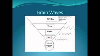 Brain Waves Explained [upl. by Melicent]