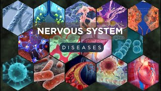 Nervous System Diseases Explained  Causes Symptoms amp Treatments [upl. by Hsetih]