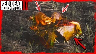 RDR2 animals Eating humans Raccoon feasting on Corpse Gameplay🤠🤠🤠 [upl. by Acinnod741]