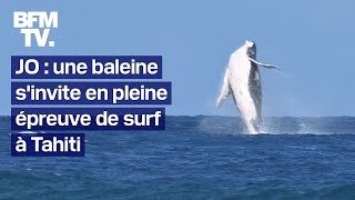 JO de Paris 2024 une baleine sinvite en pleine épreuve de surf à Tahiti [upl. by Grant]